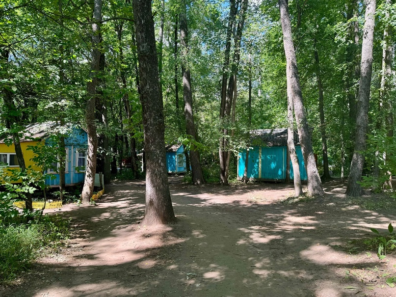 Зеленый берег