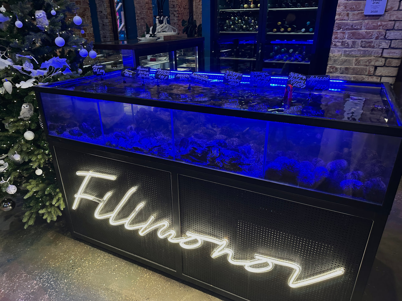 2b55cf5e2ee66e824c5f42c5d5bb9039ecbe4793