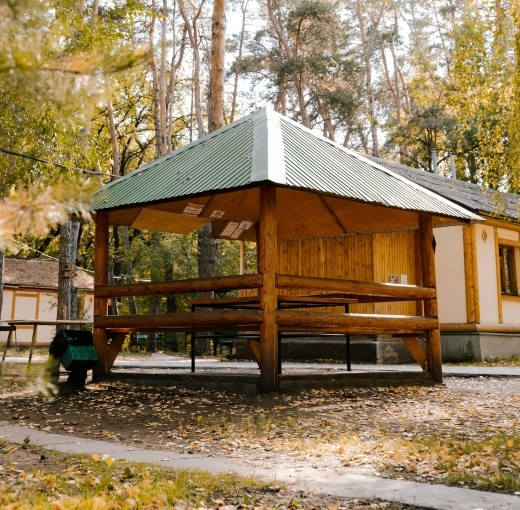Лесная крепость
