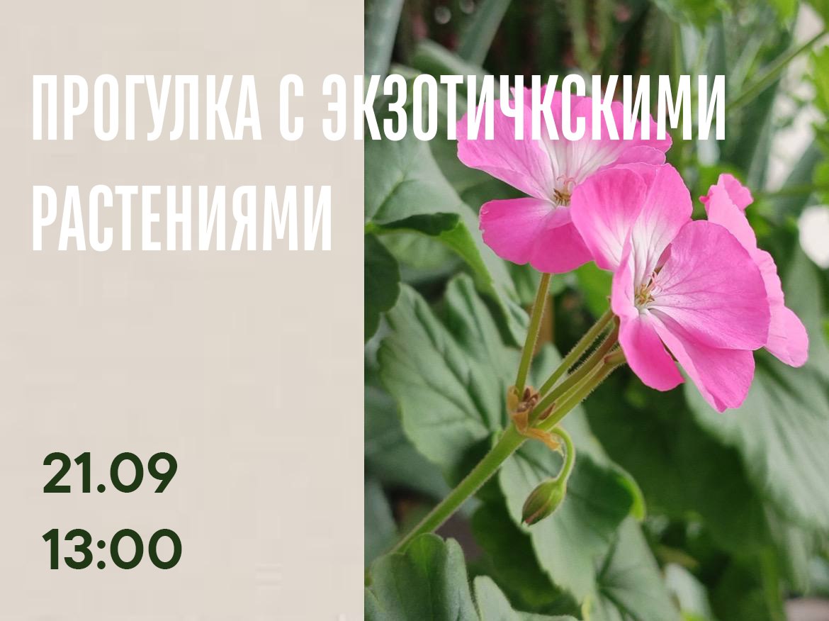 edagda21483.jpg